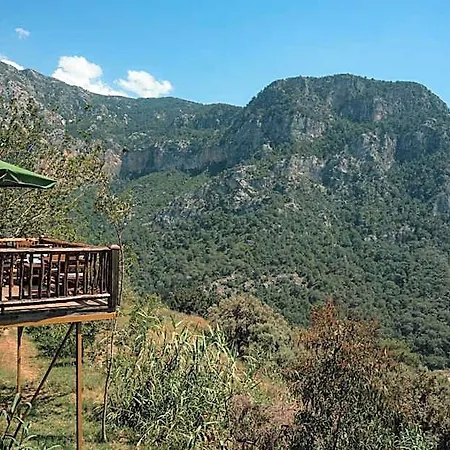 Olive Garden Kabak Bogazici