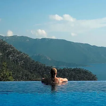 Olive Garden Kabak 3*