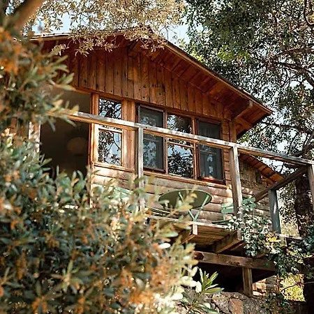 Olive Garden Kabak Hotel Bogazici