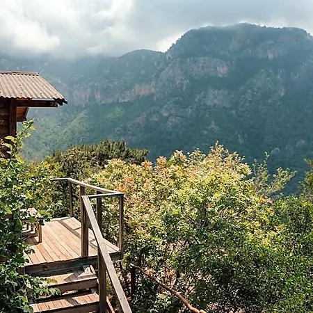 Hotel Olive Garden Kabak