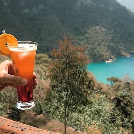 Olive Garden Kabak 3*