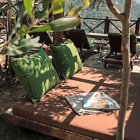 Hotel Olive Garden Kabak Bogazici