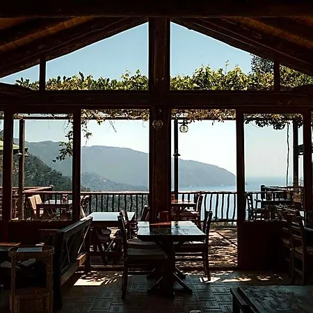 Olive Garden Kabak 3*