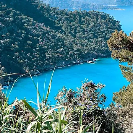 Hotel Olive Garden Kabak