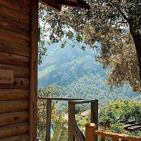 Olive Garden Kabak Bogazici