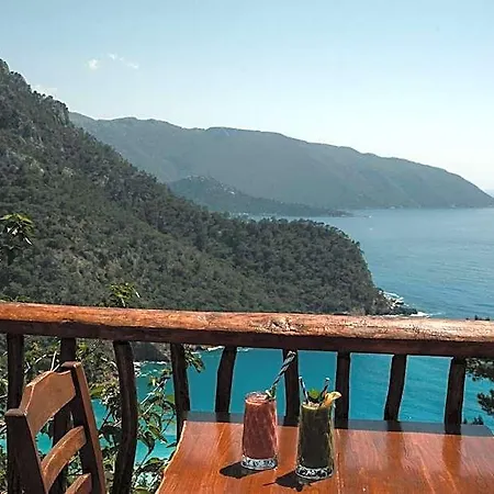 Hotel Olive Garden Kabak
