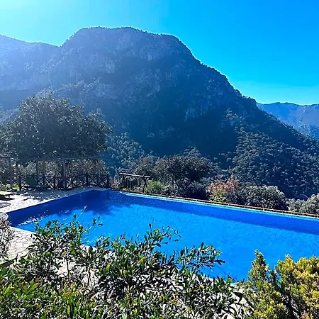 Hotel Olive Garden Kabak Bogazici