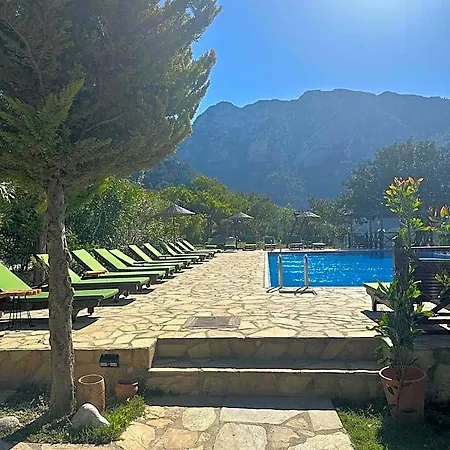 Olive Garden Kabak 3*